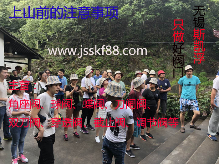 無(wú)錫斯凱浮